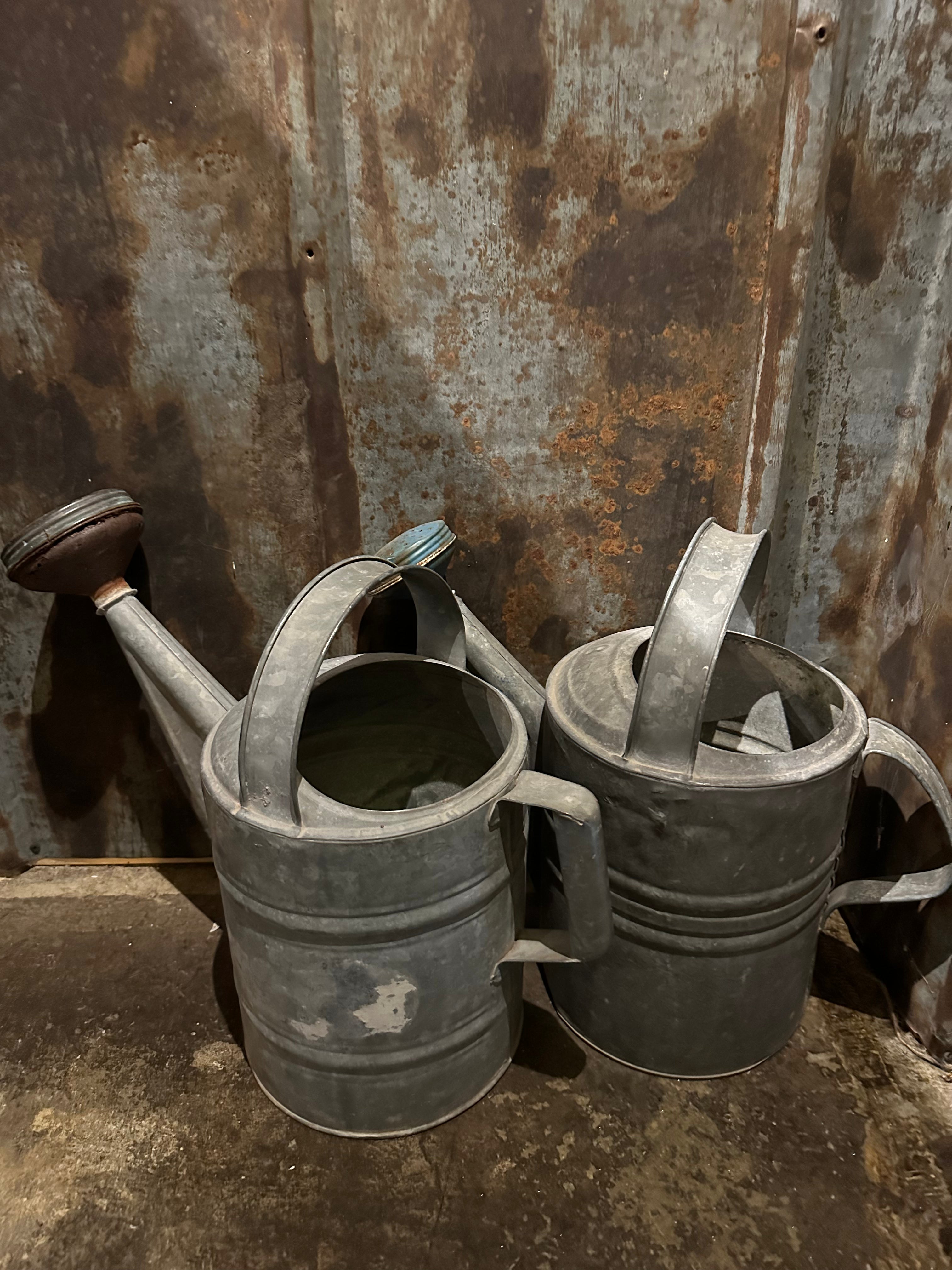 galvanize Watering Cans