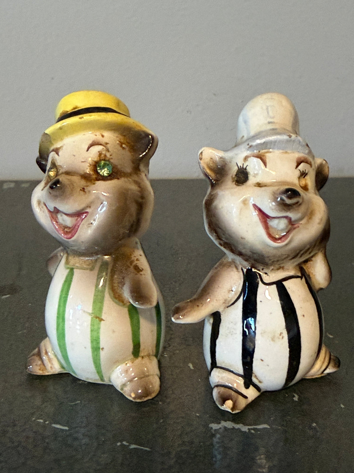 Salt Pepper Shakers