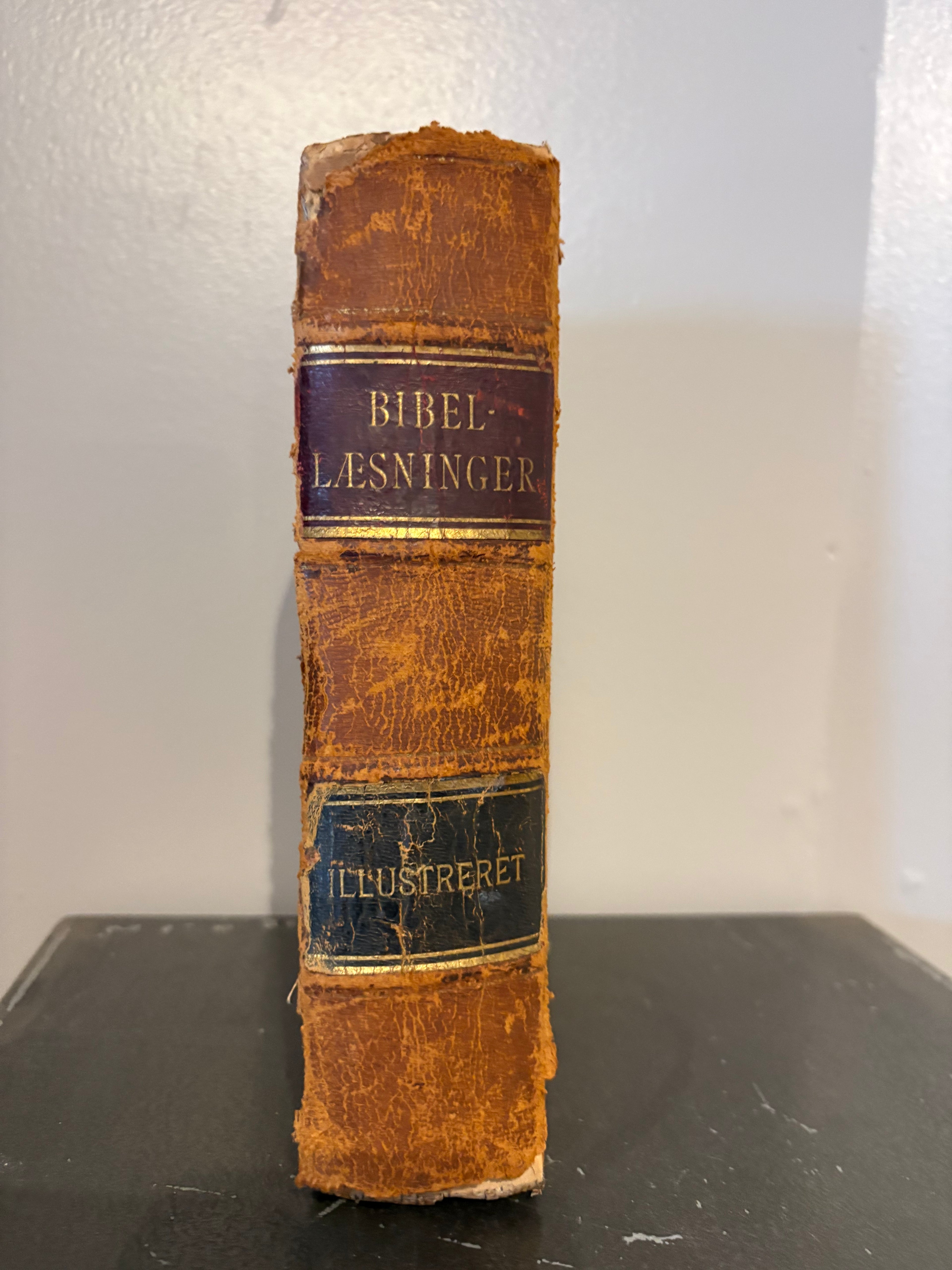 19th Century Bible