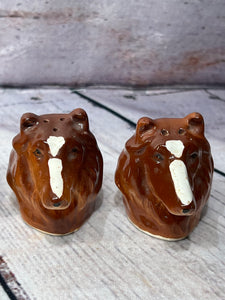 Antique Salt & Pepper shakers