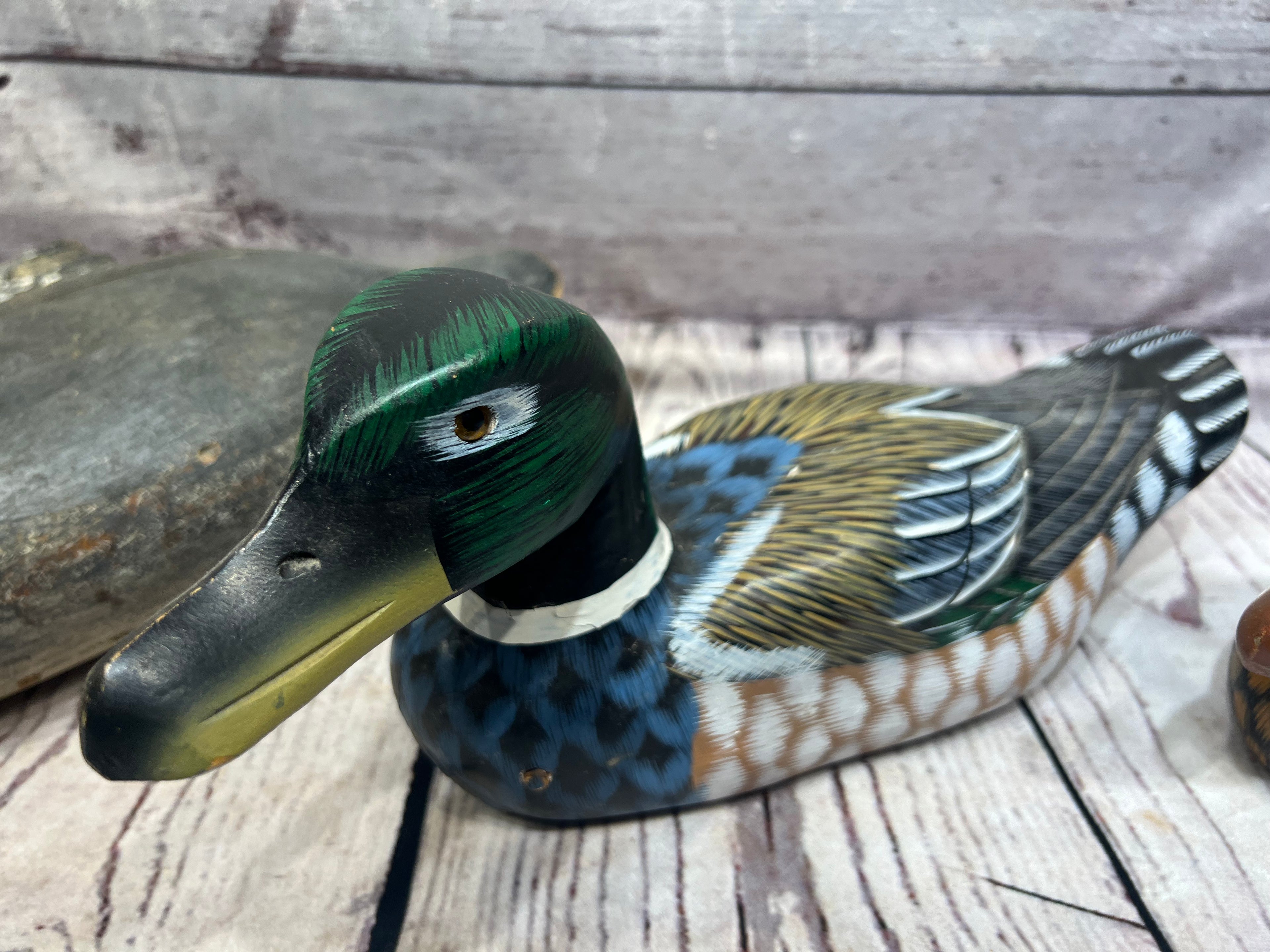 Duck Decoys