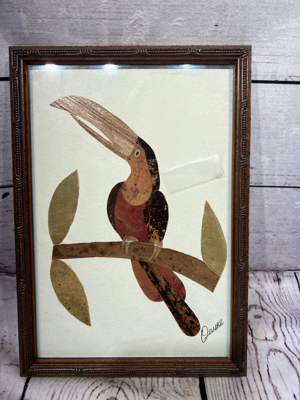 Oscar tucan Picture