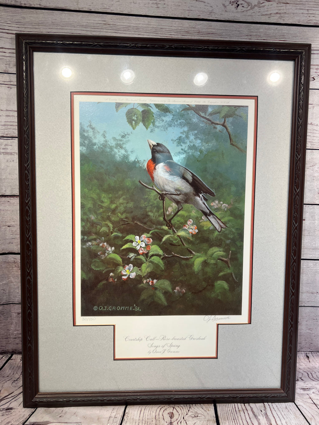 Owen J. Gromme Pictures