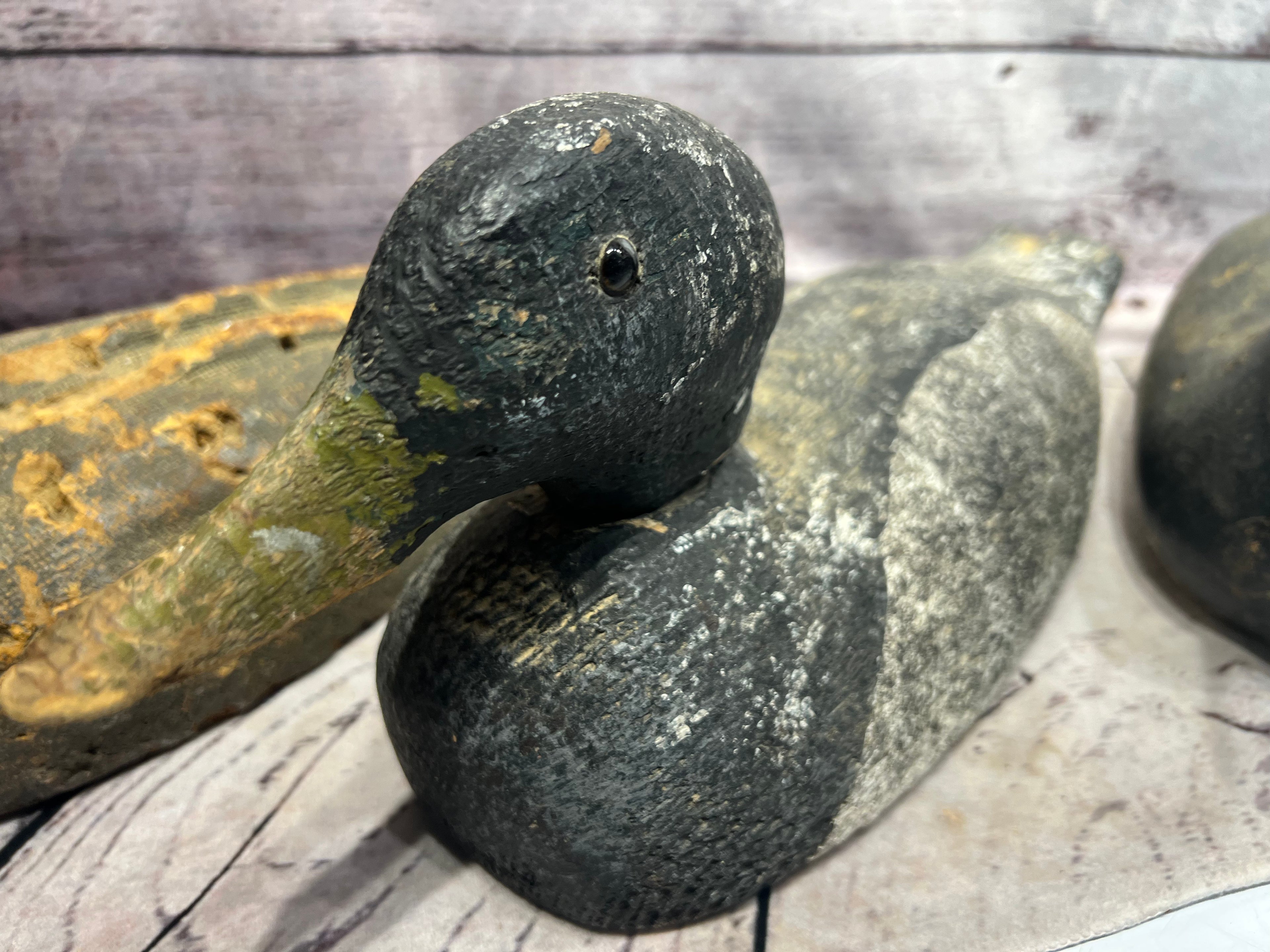 Duck Decoys