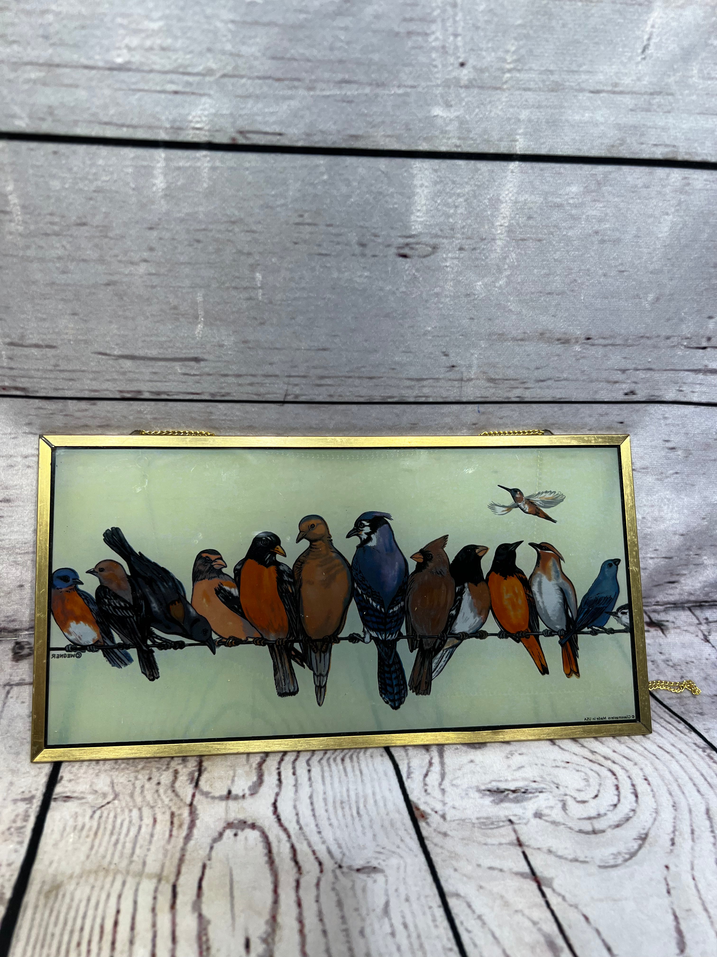 Birds on fence line
