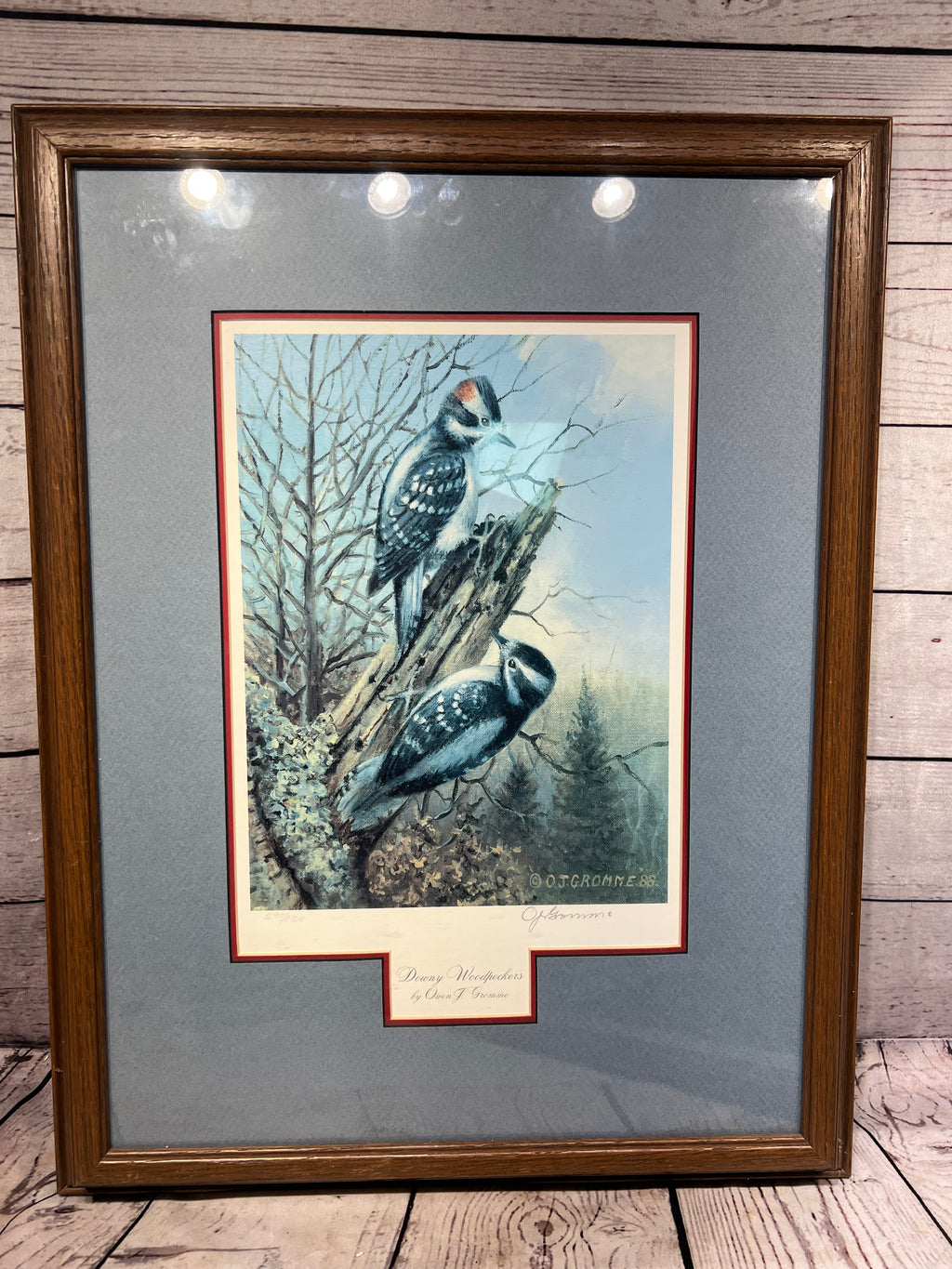 Owen J. Gromme Pictures
