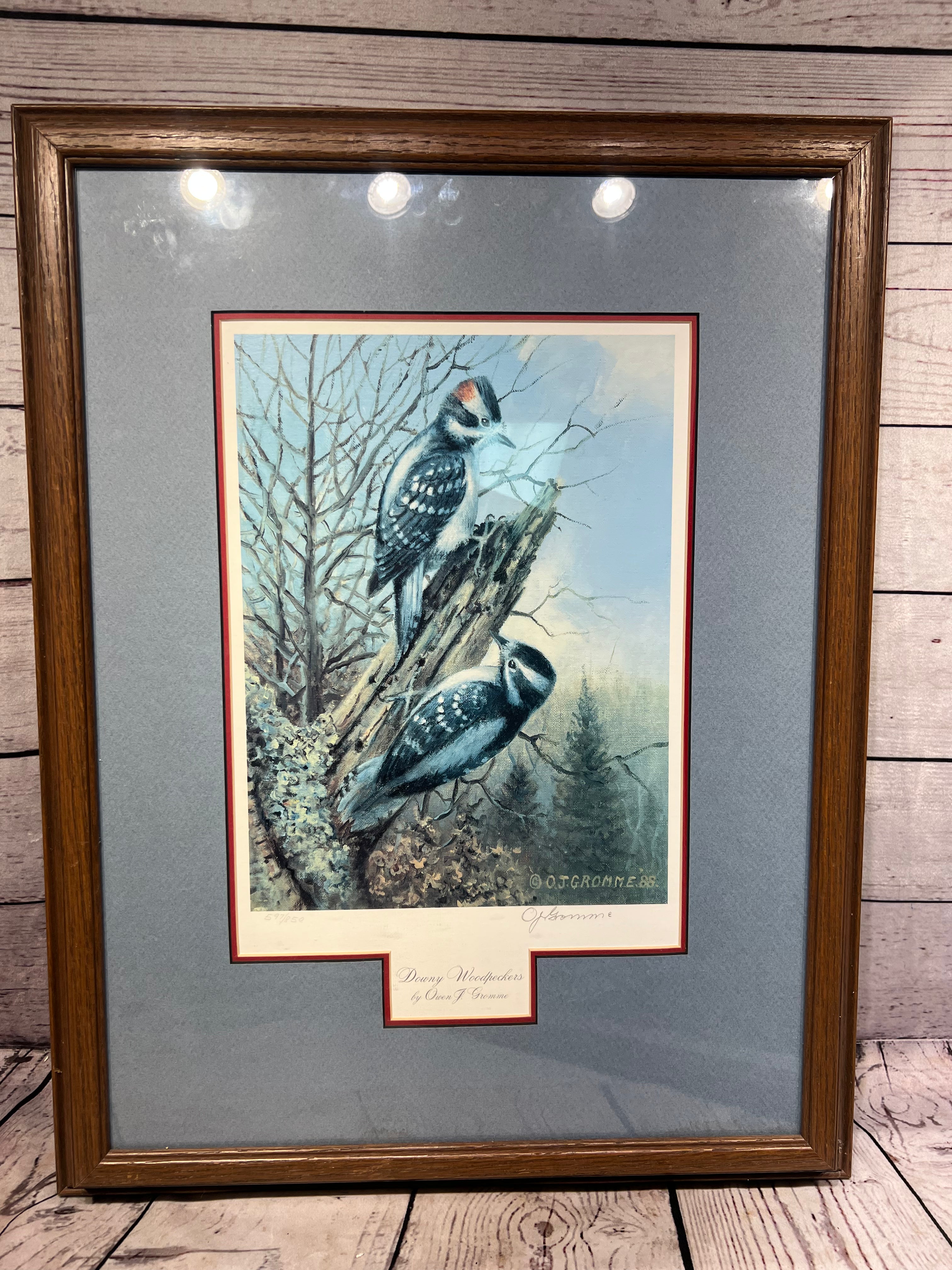 Owen J. Gromme Pictures