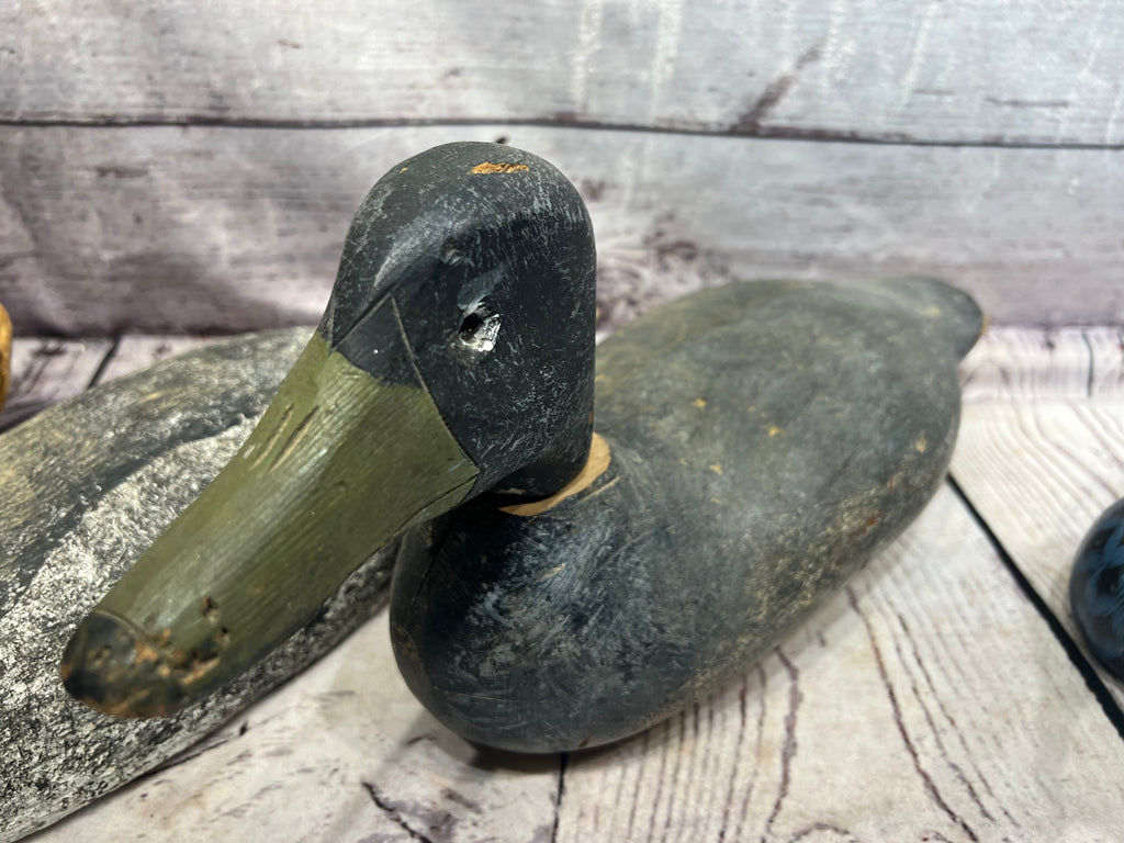 Duck Decoys