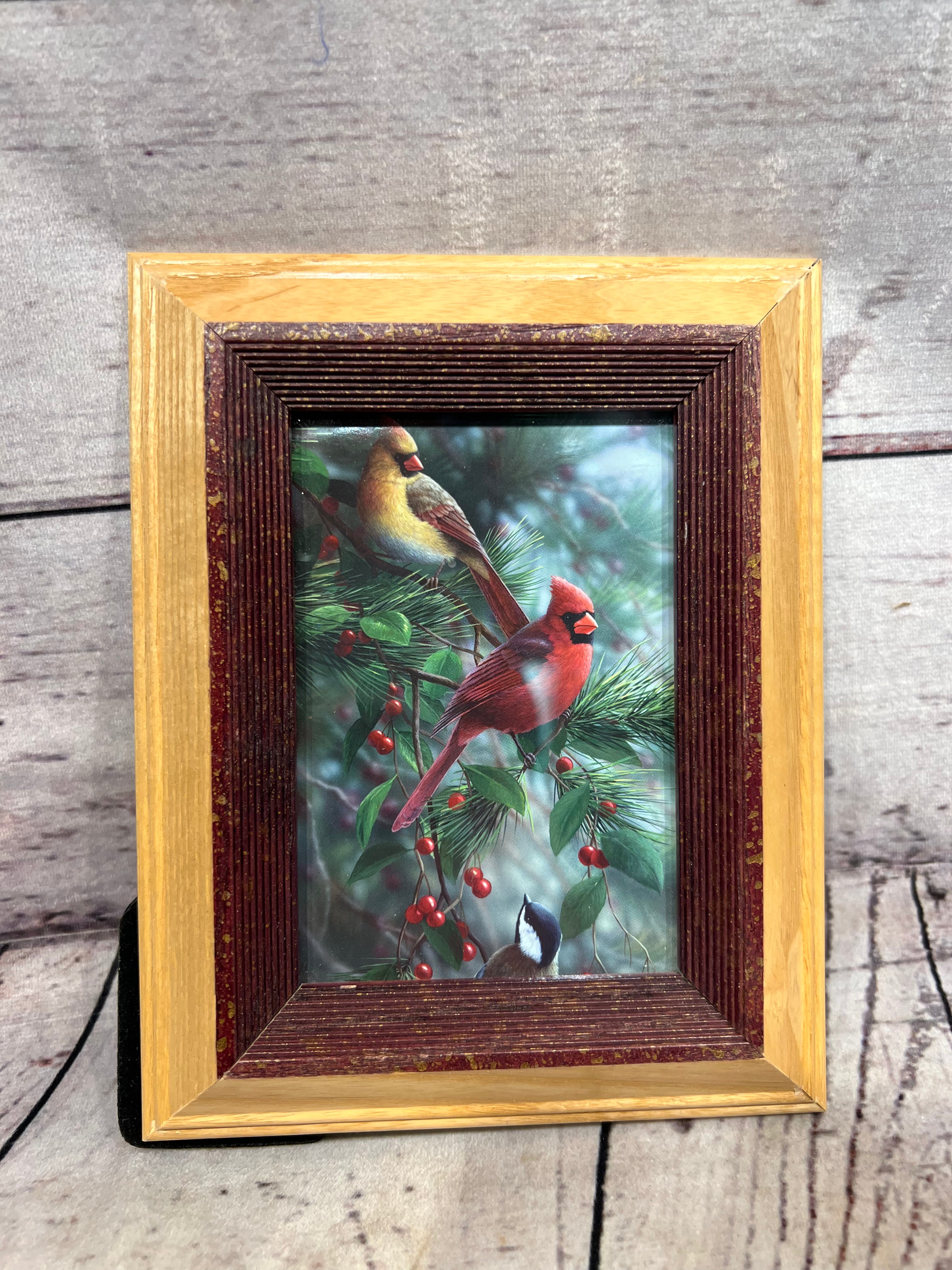 Small Cardinal Picture