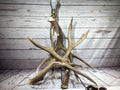 Antler Lamp working