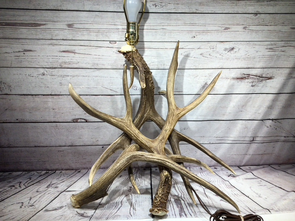 Antler Lamp working