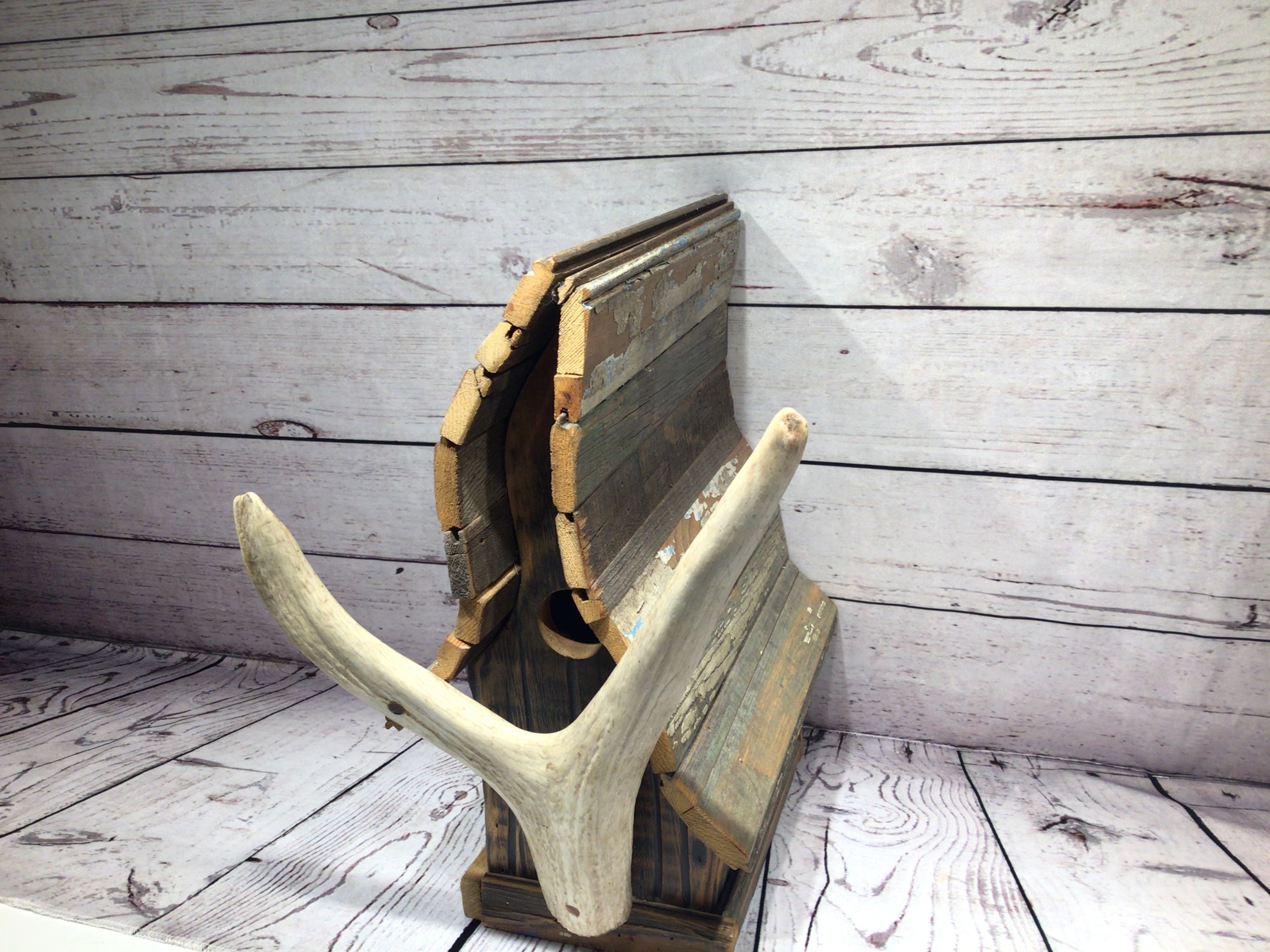 Wacky Bird house