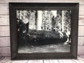 24.5" x 20.5" Model-T On Log