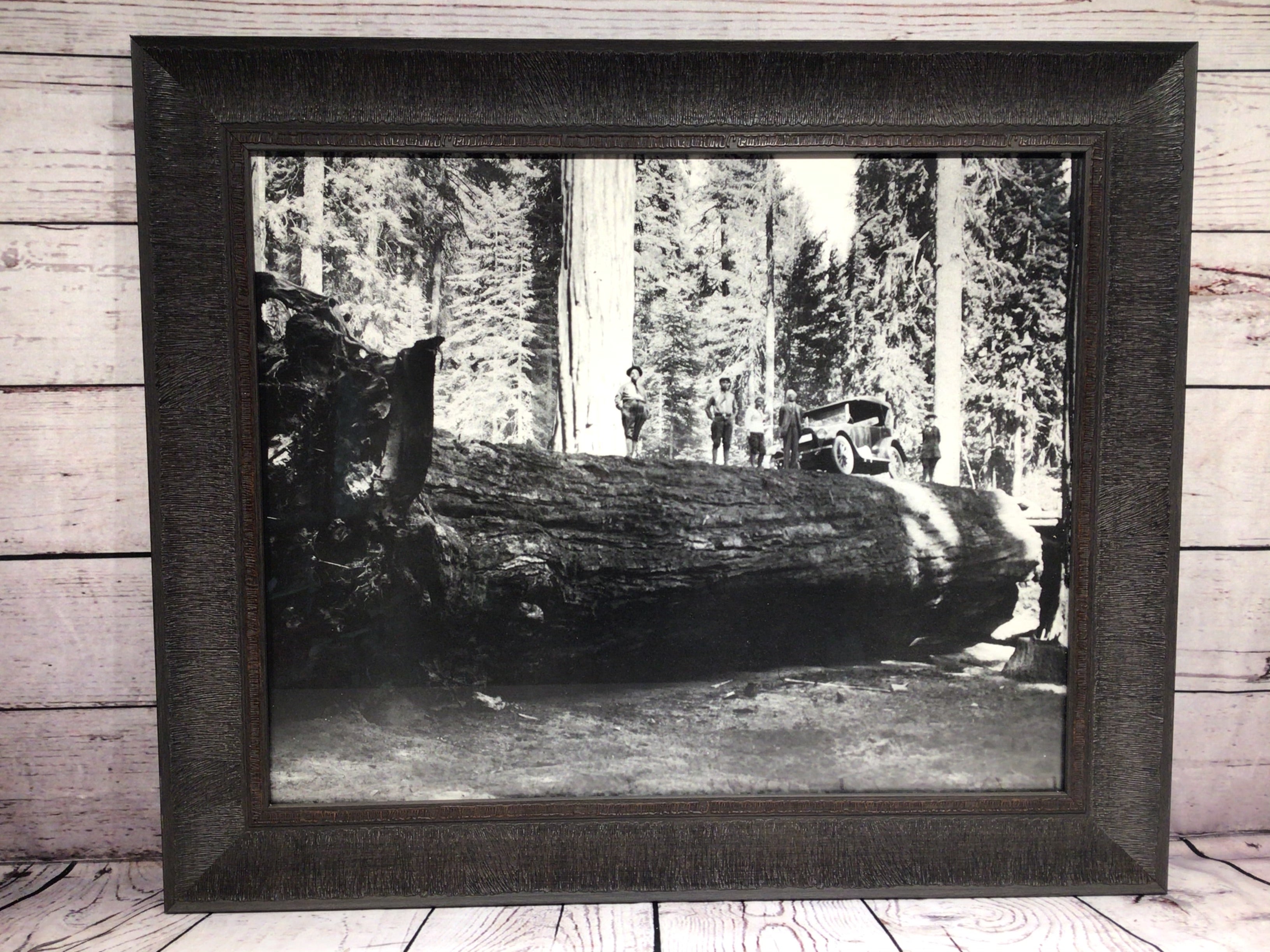 24.5" x 20.5" Model-T On Log