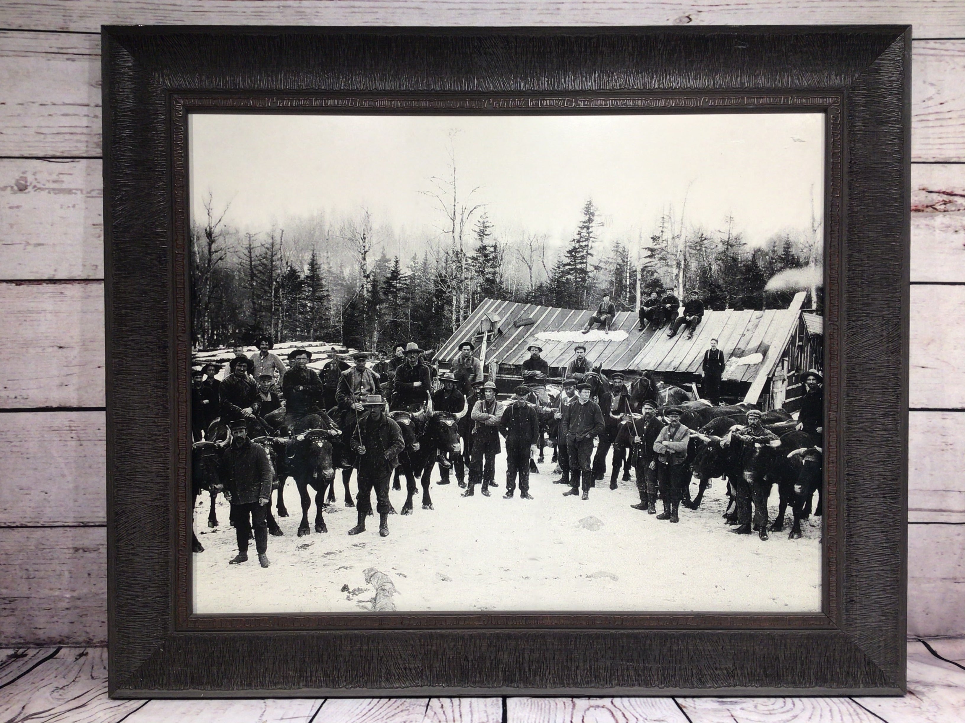 24.5" x 20.5" Lumber Jacks on House