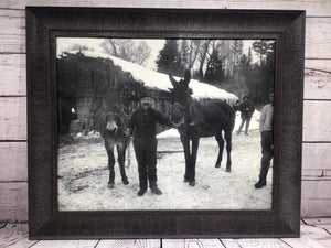 24.5" x 20.5" Donkeys Print