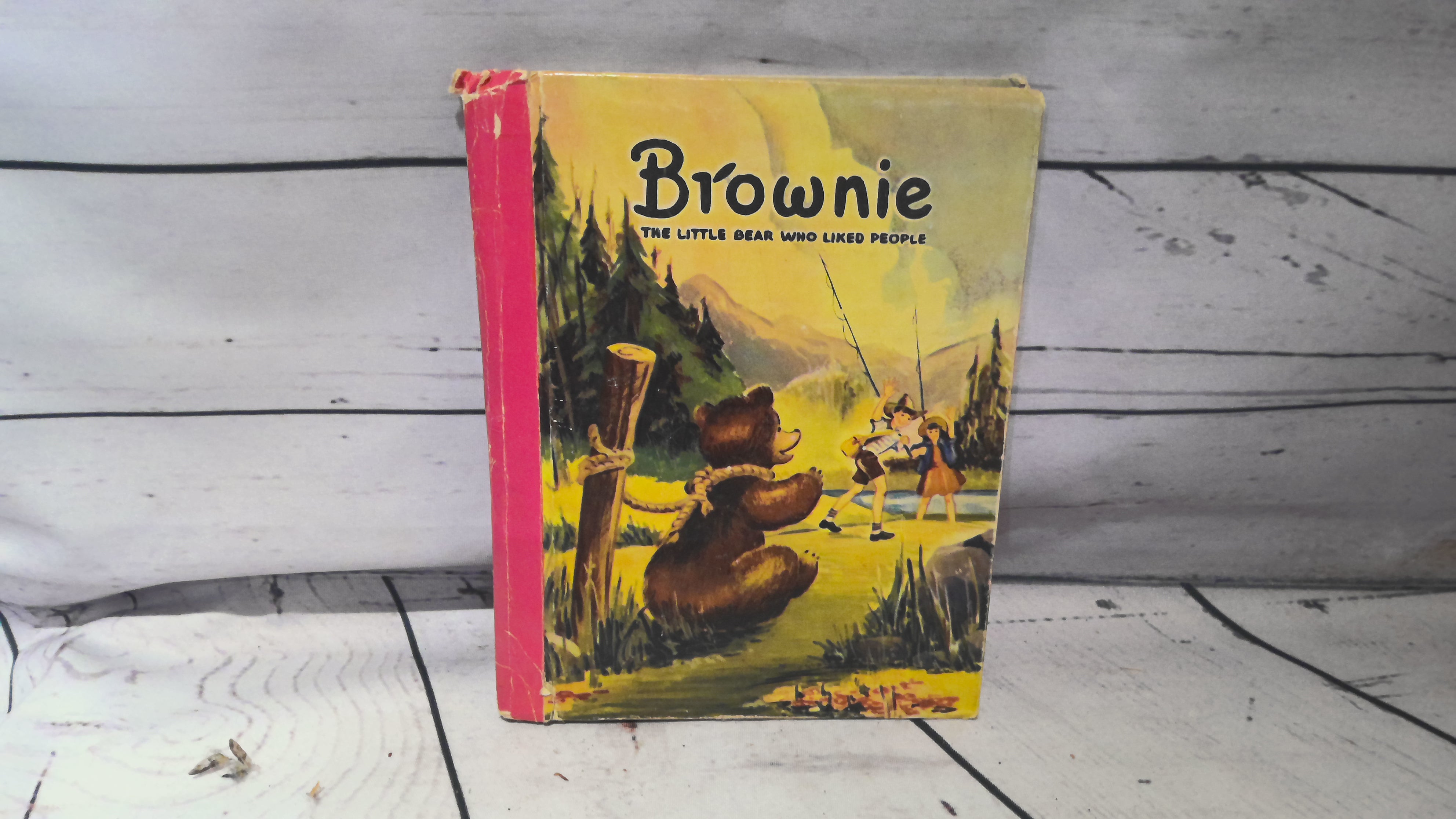 Brownie the little bear who looked like people