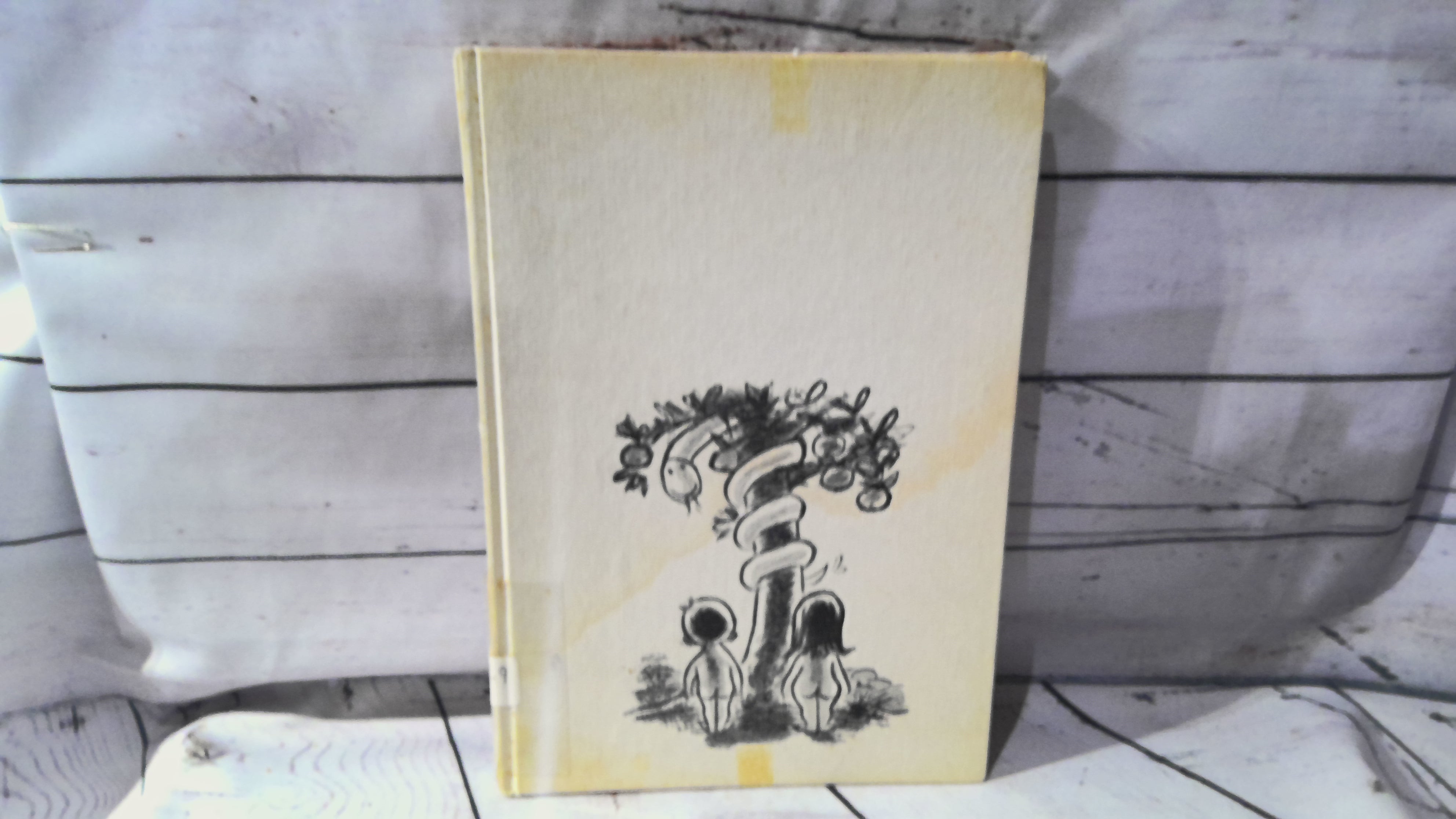 Sex and The Single Child book