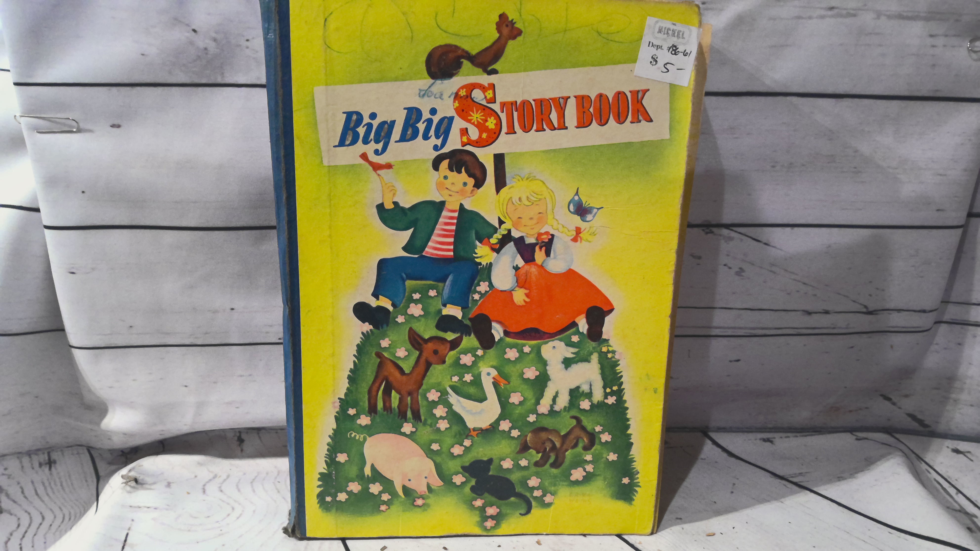 A Big Story Book