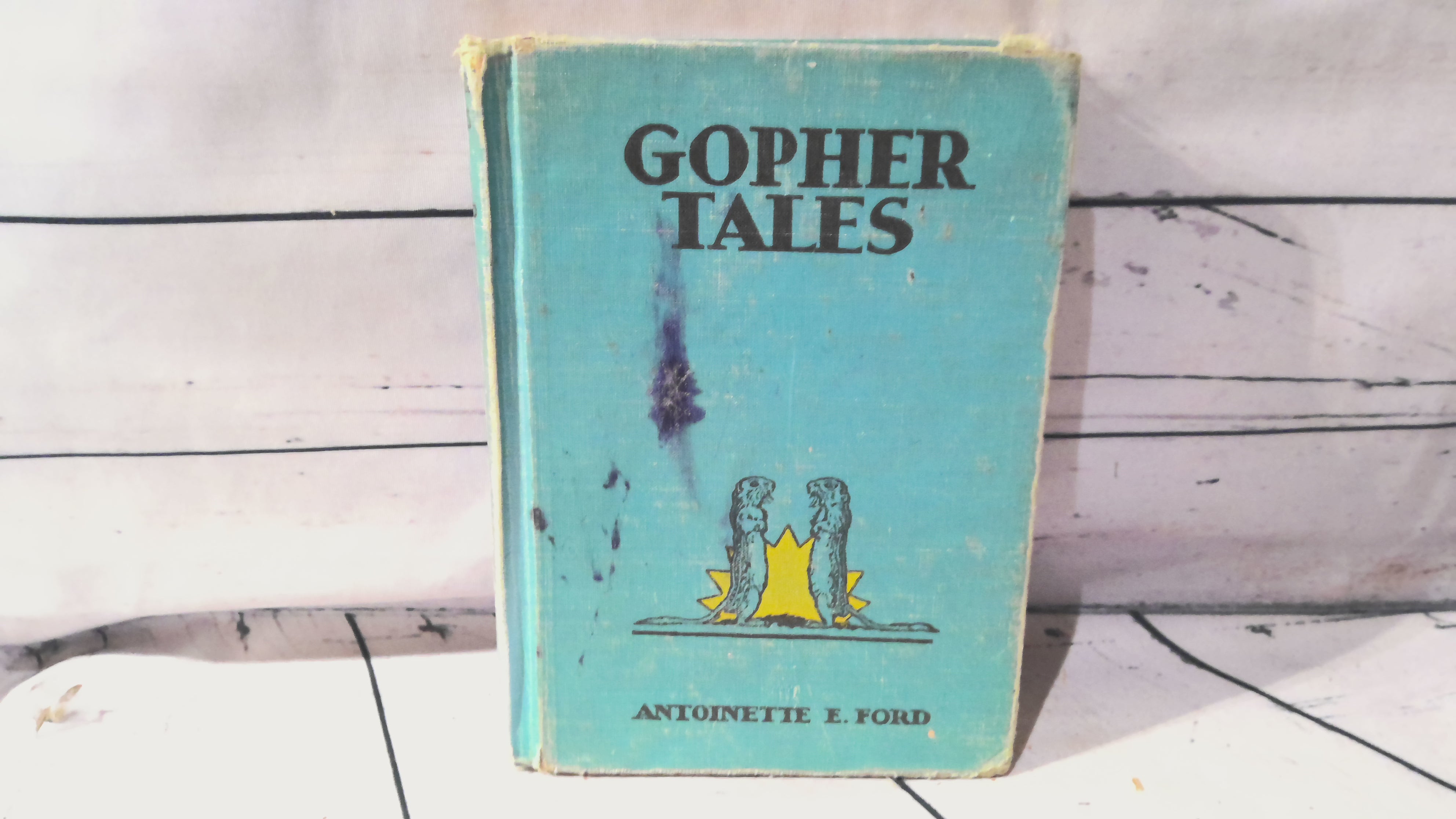 Gopher tails by Antoinette E Ford