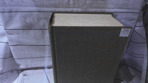 Webster's new 20th century dictionary underbridge