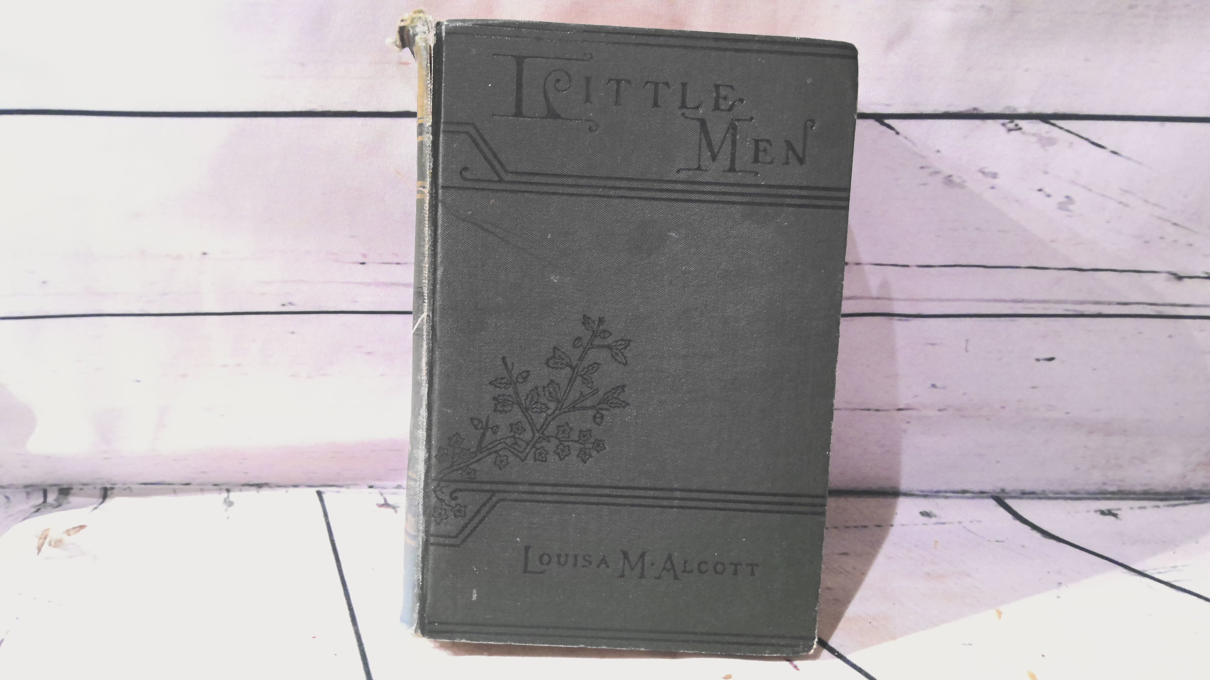 Little men by Louisa M alcott