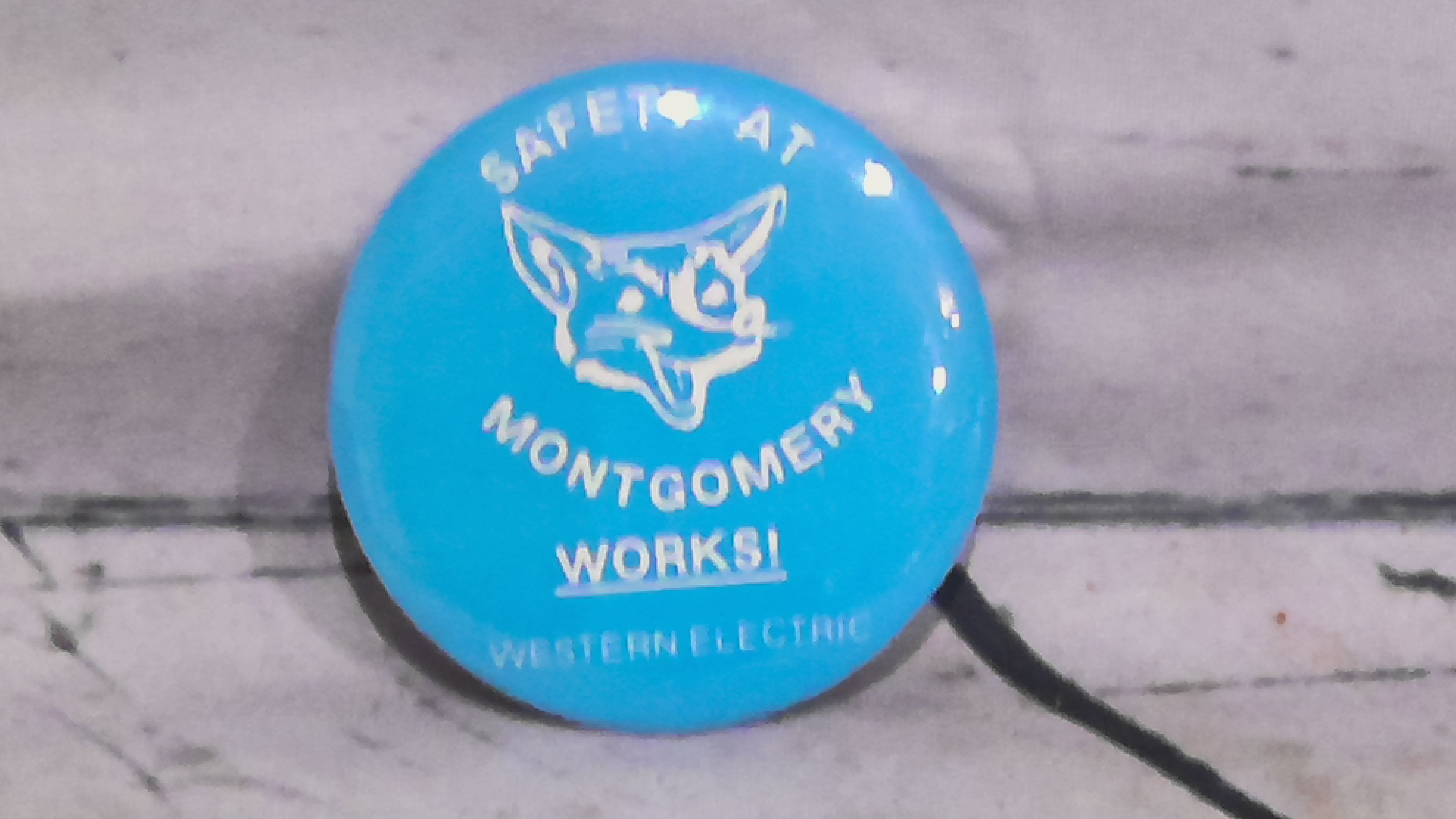Safety add Montgomery works! pin