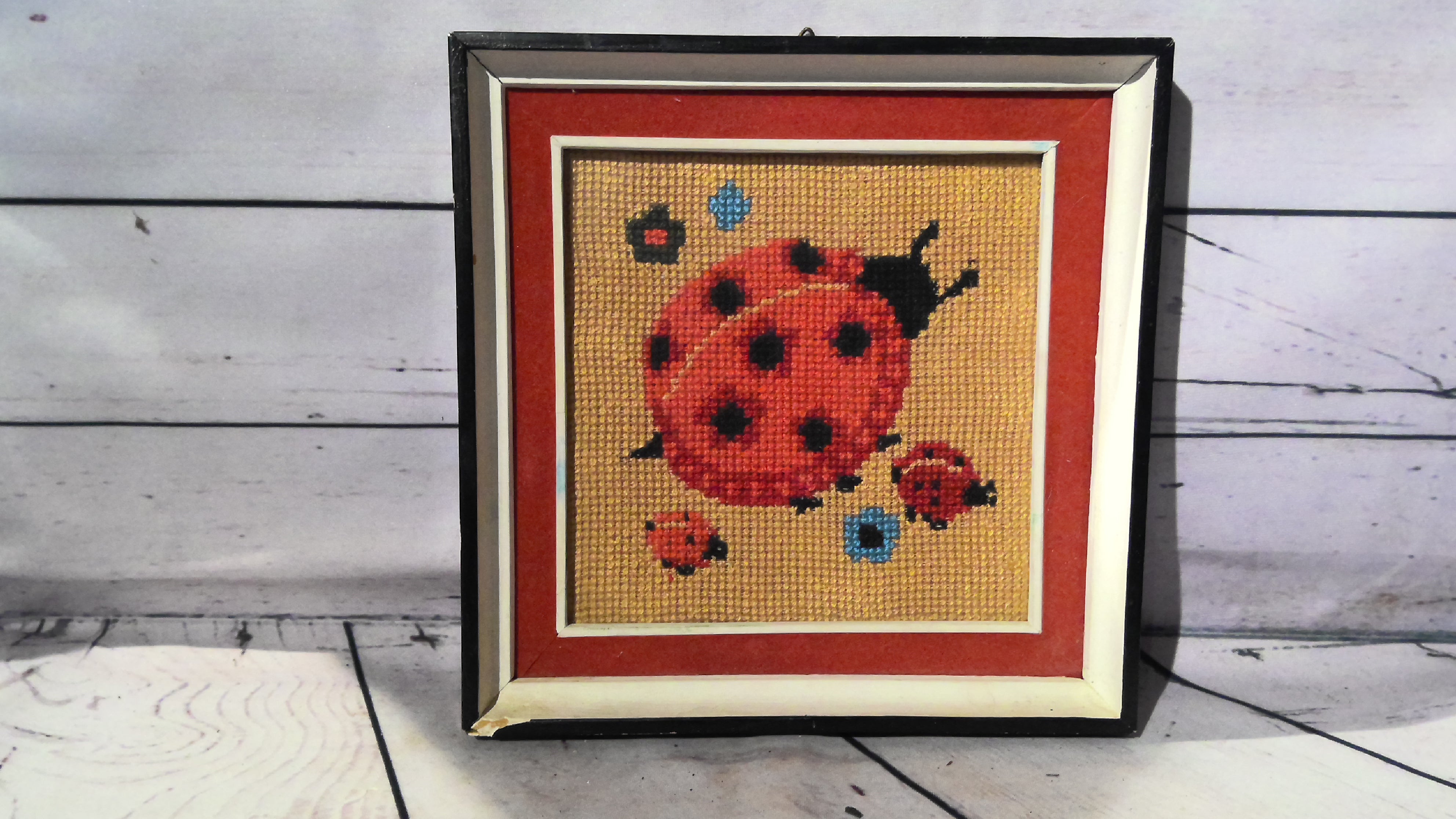 Lady bug picture