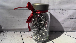 Glass jar with clips