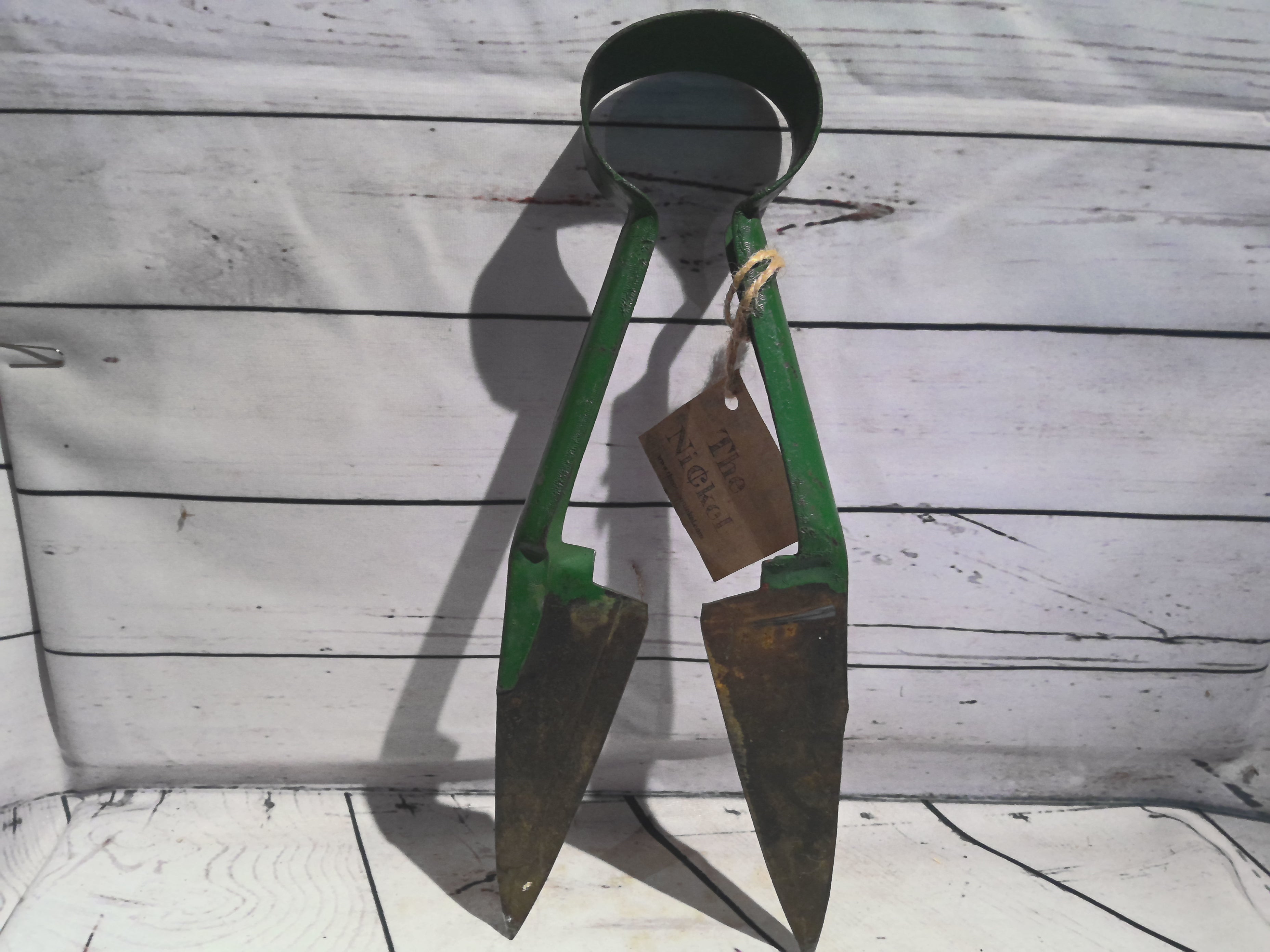Sheep Shears
