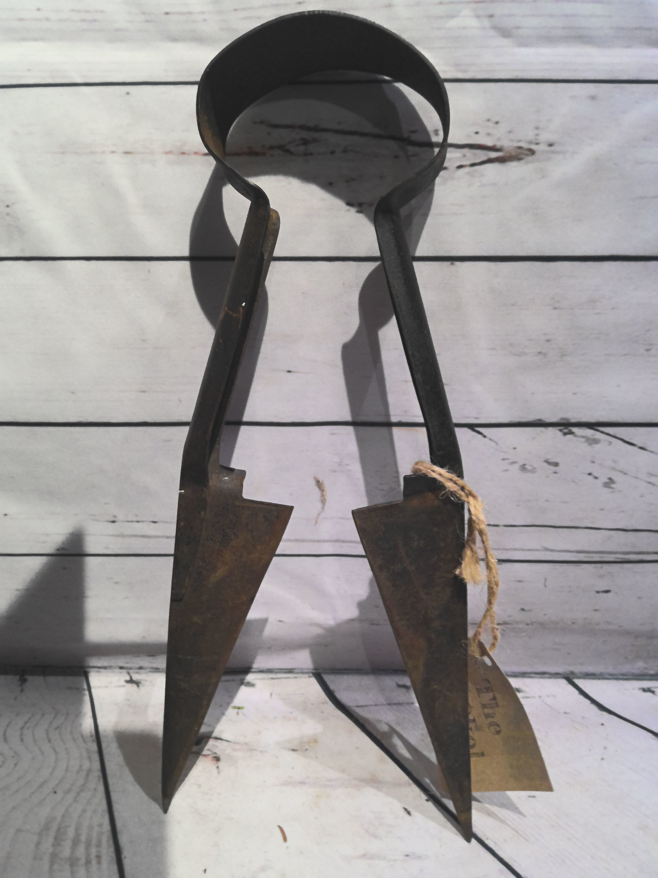 Sheep Shears