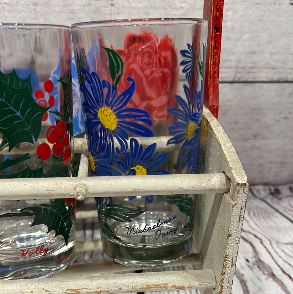 Vintage Nasturtium Glasses