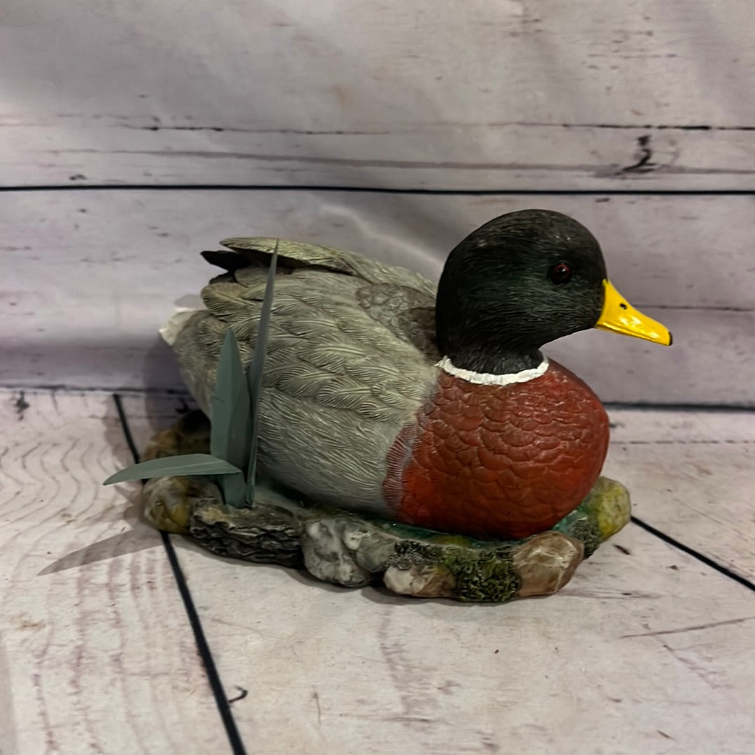 Mallard duck decor