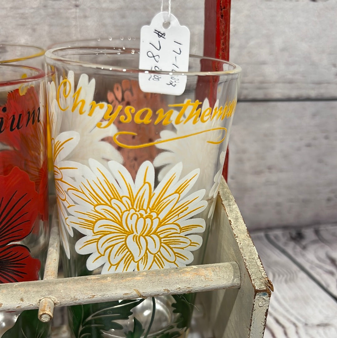 Vintage Nasturtium Glasses