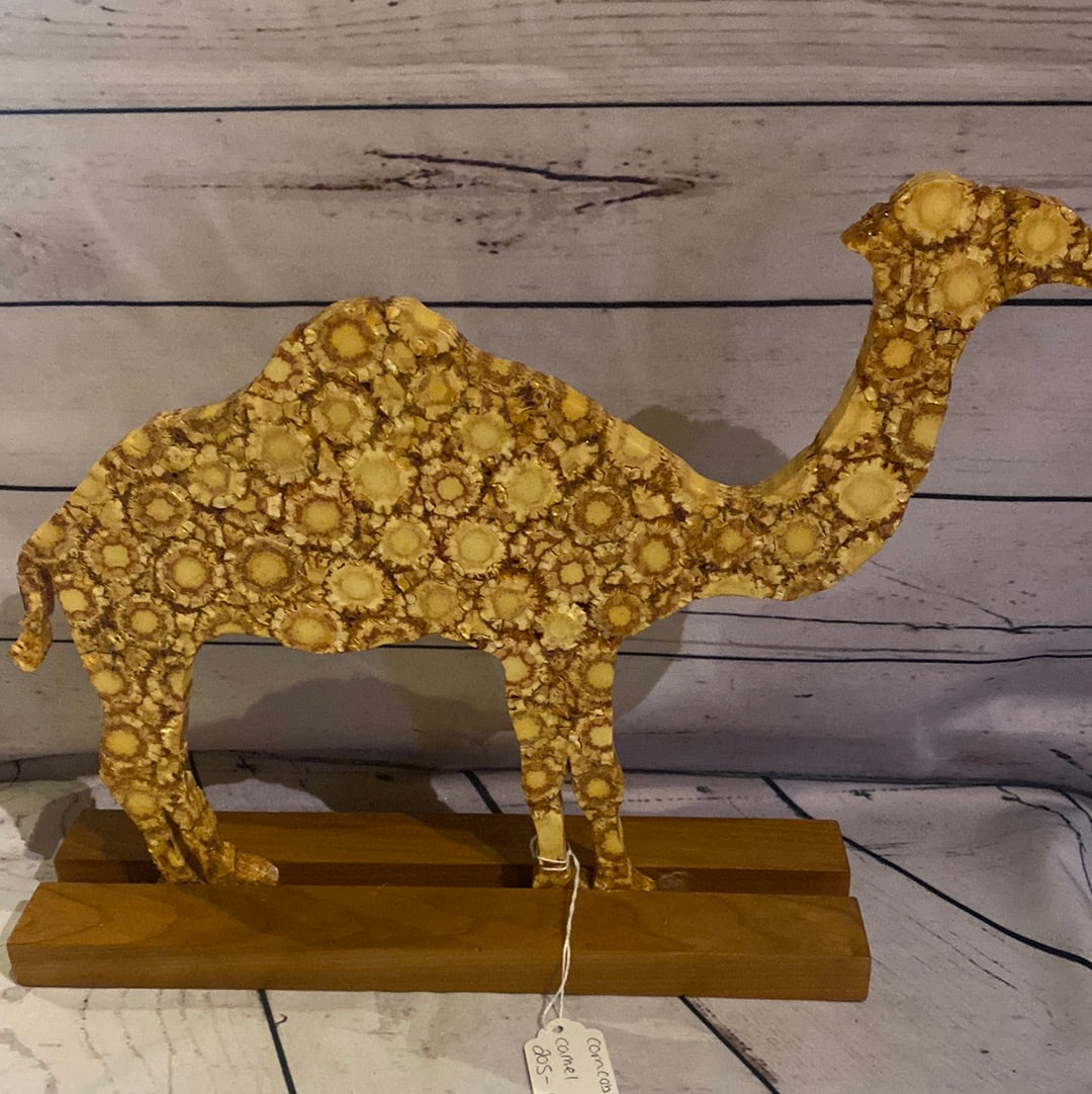 Corn Cob Camel