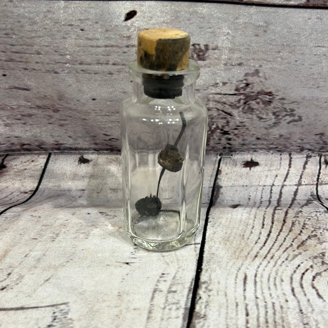 Vintage glass bottle w/brush