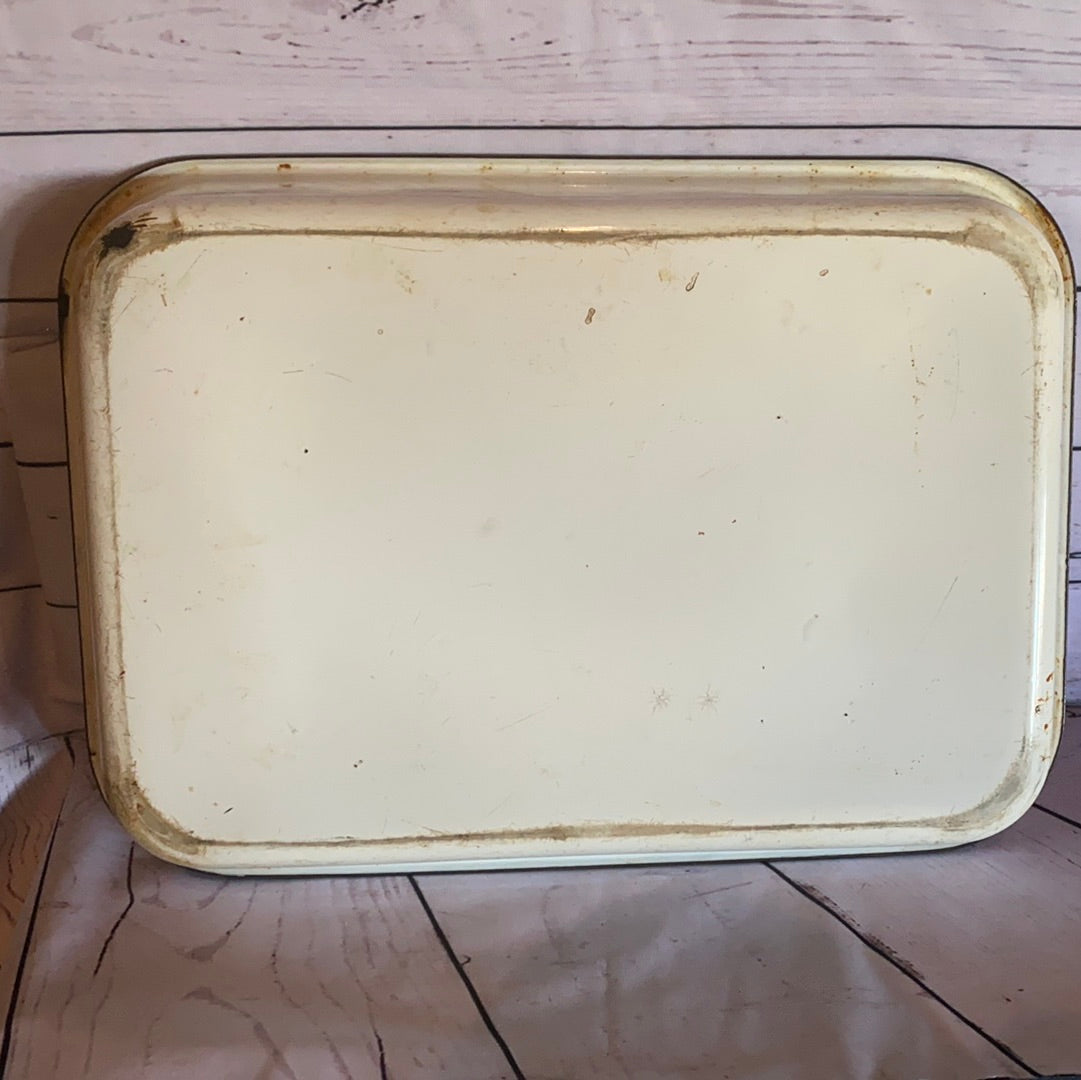 Large Enamel Backing pan