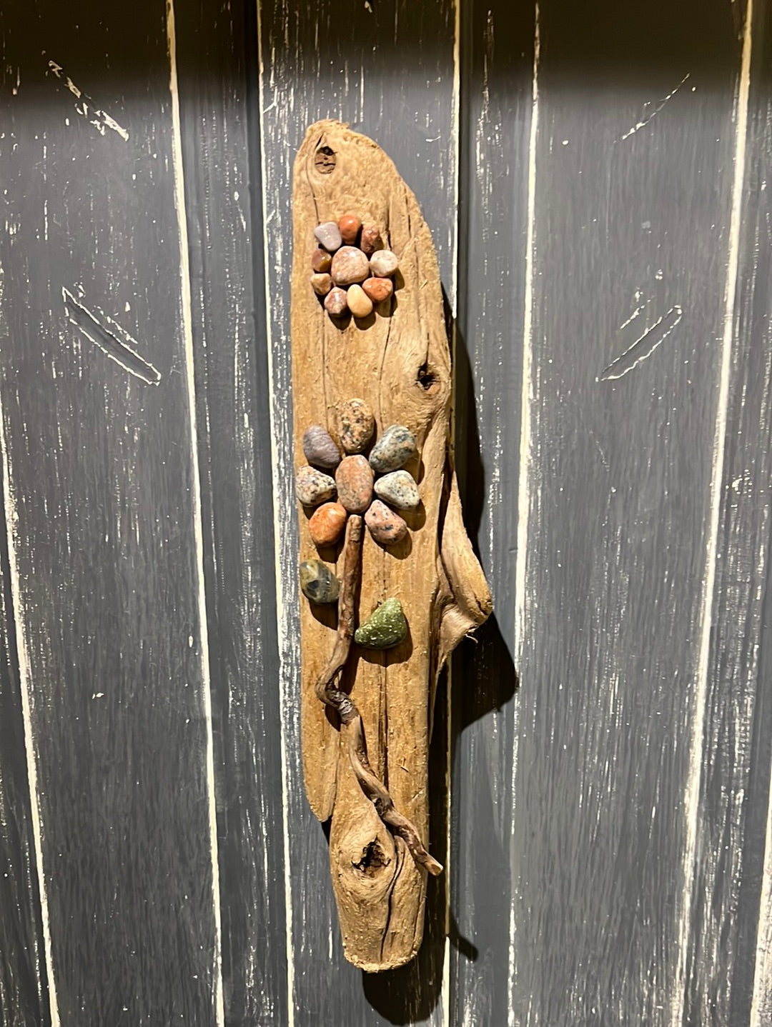 Twisted Stem Drift Wood