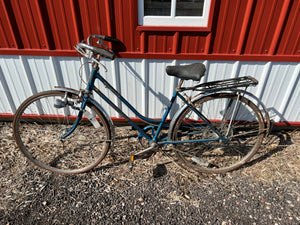 Schwinn Colgate Bike