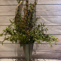 Plant Decor
