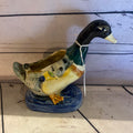 Mallard Plantar