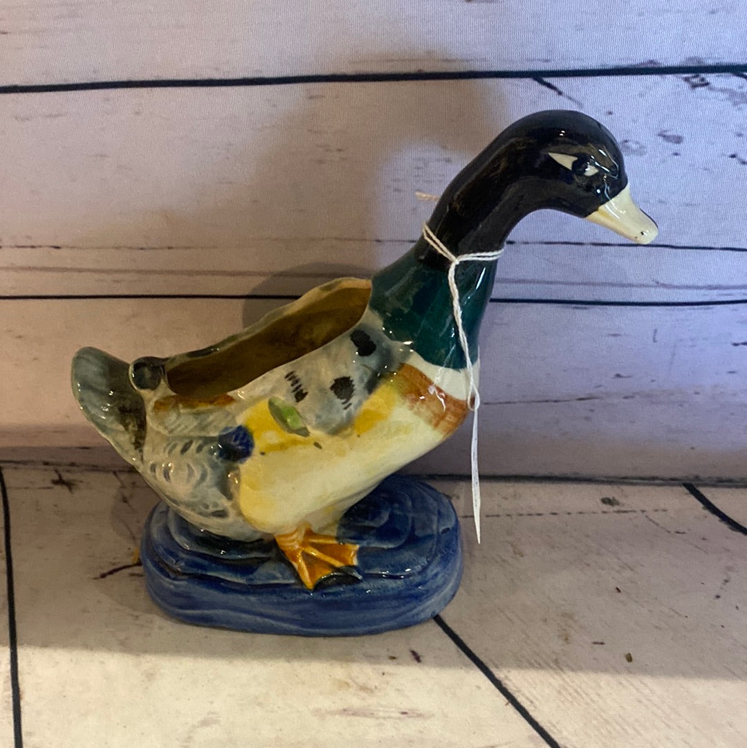 Mallard Plantar