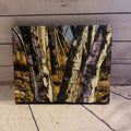 Painted Canvas