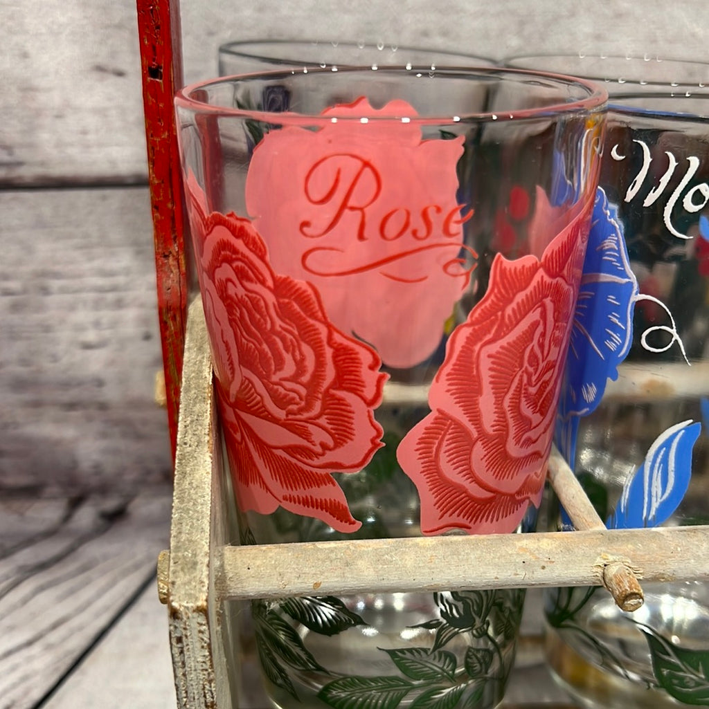 Vintage Nasturtium Glasses
