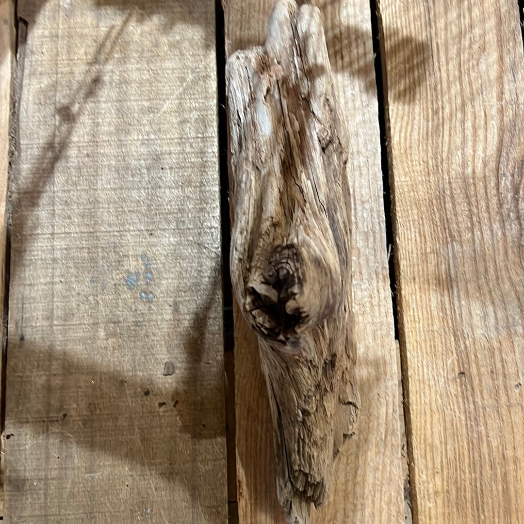 Small Drift Wood