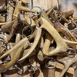 Real Antler Key Chains