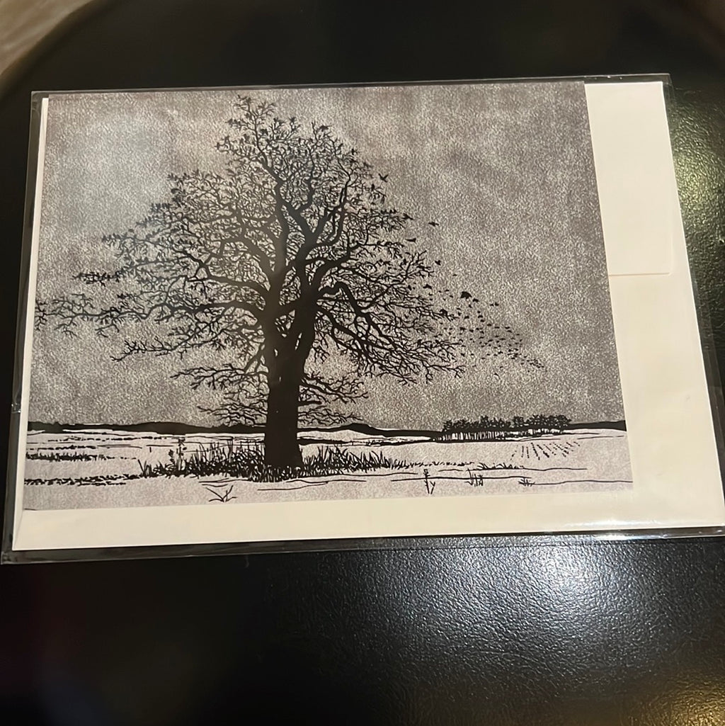 Shamrock Fine Art Post Cards