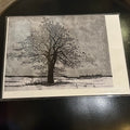 Shamrock Fine Art Post Cards