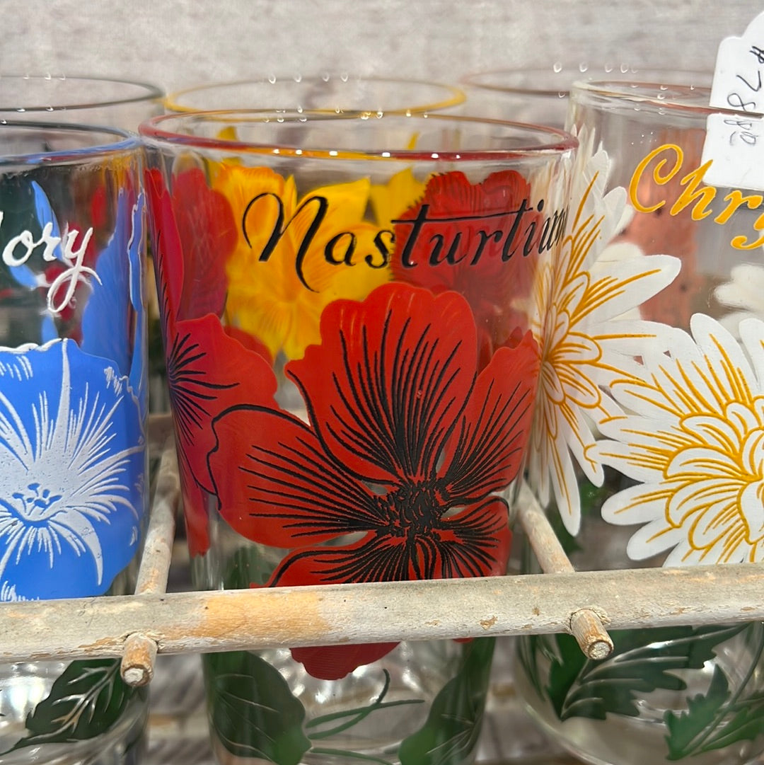 Vintage Nasturtium Glasses