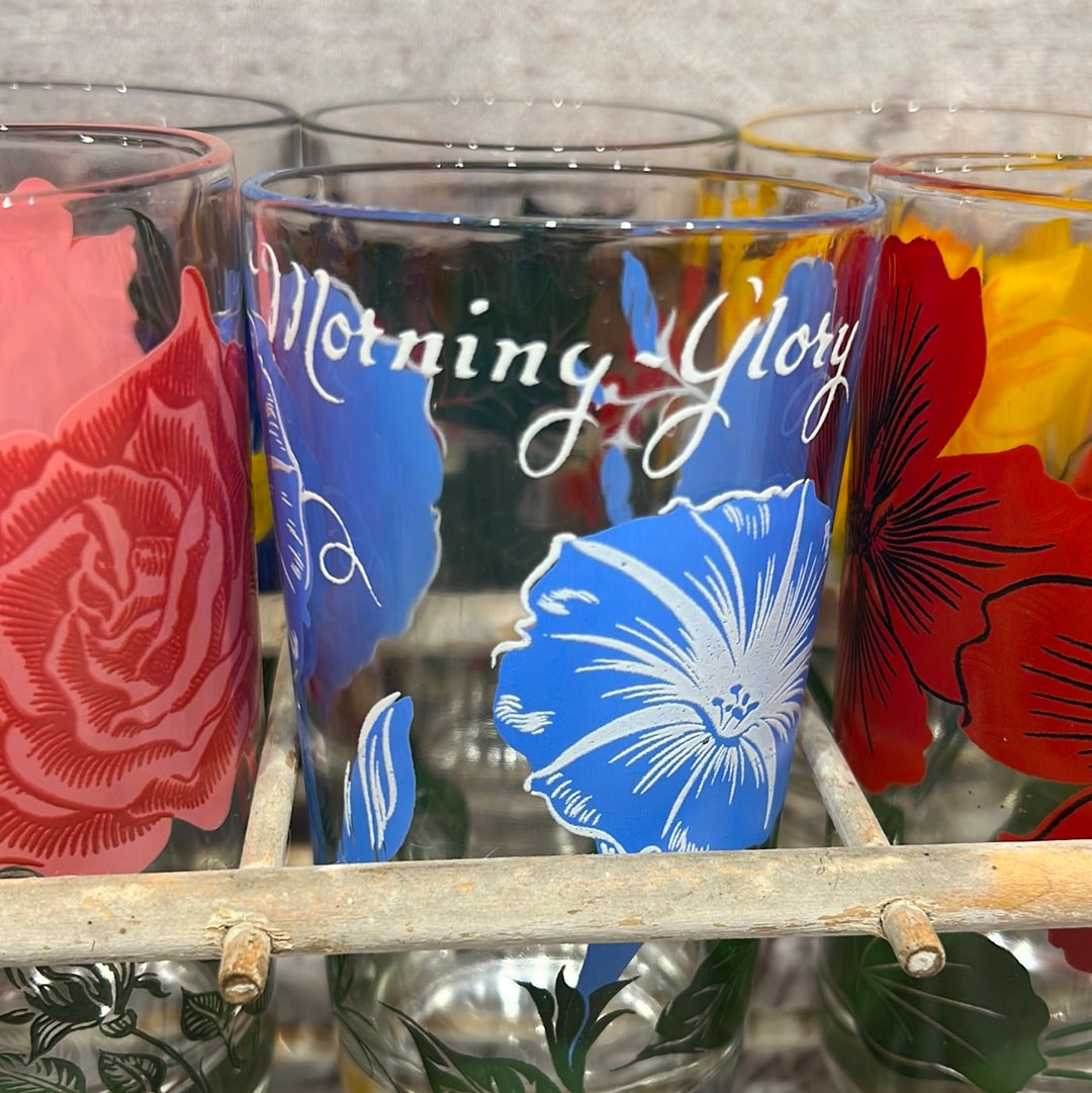 Vintage Nasturtium Glasses